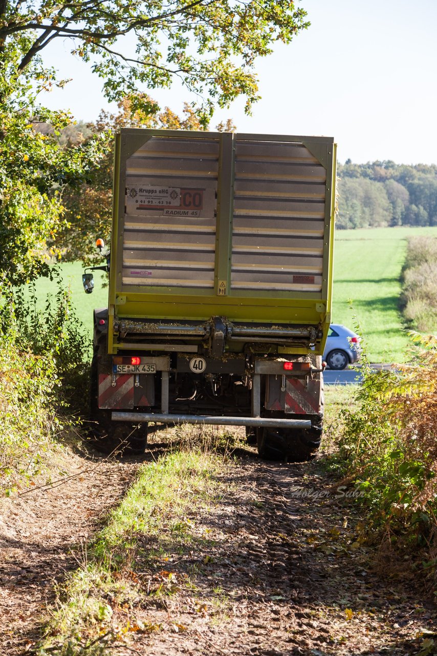 Bild 105 - Maisernte